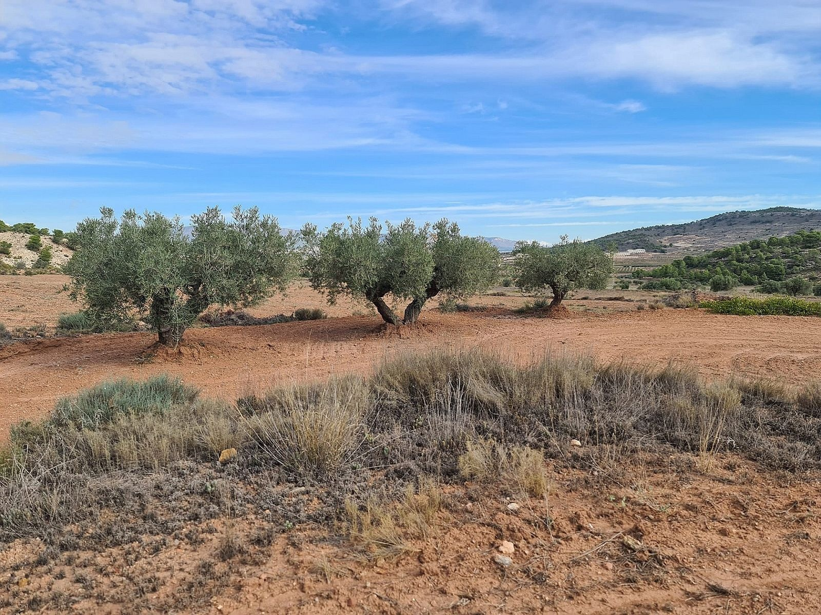 w_ezgyfpzntcpo23ioqu4h-9002a5 Land In Pinoso, Spain (20.343 M² Plot)