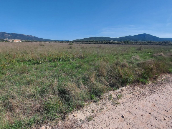 Land In Salinas, Spain (14.720 M² Plot)