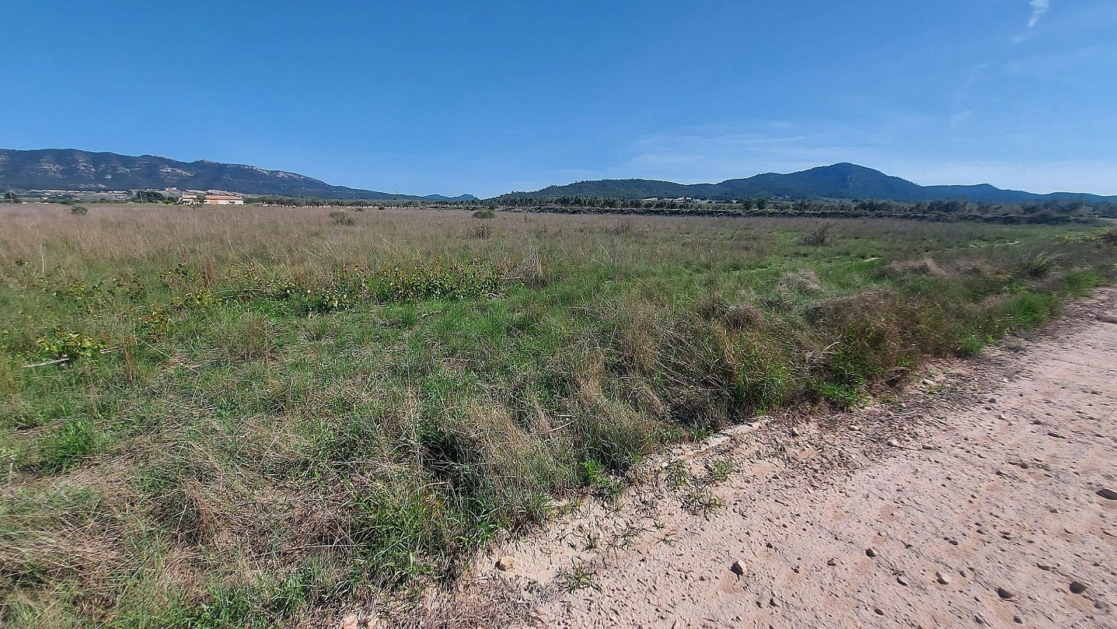 w_f4hoh6r2h7okogx3dq58-73fd31 Land In Salinas, Spain (14.720 M² Plot)