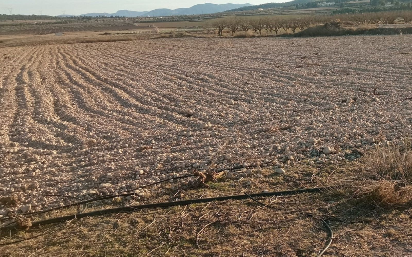 Land In Salinas, Spain (49.658 M² Plot)