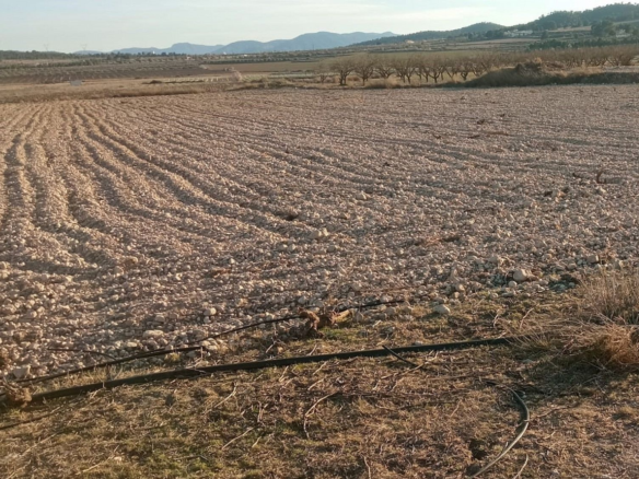 Land In Salinas, Spain (49.658 M² Plot)