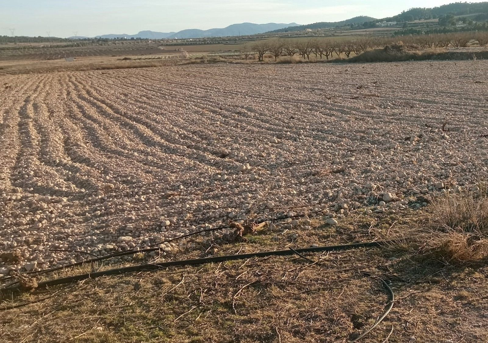 w_h5gv53kpvfcsmgm8uiw4-2bb503 Land In Salinas, Spain (49.658 M² Plot)