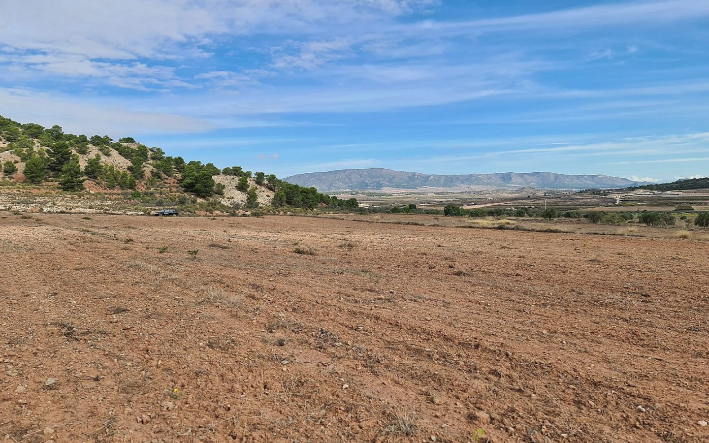 Land In Pinoso, Spain (20.343 M² Plot)