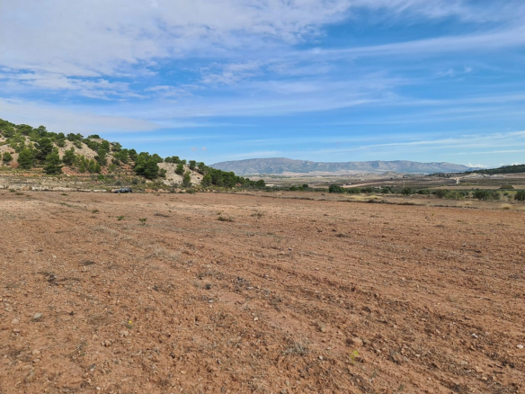 Land In Pinoso, Spain (20.343 M² Plot)