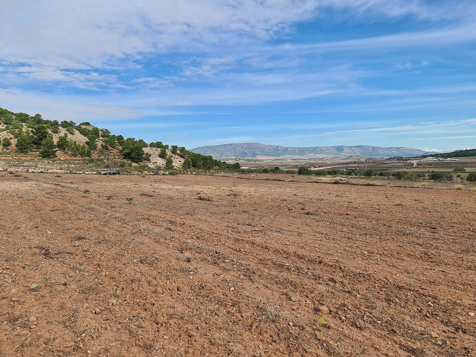 w_idb5kcuoe2huxmpb0mhh-cdecec Land In Pinoso, Spain (20.343 M² Plot)
