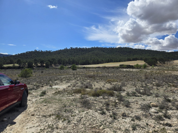 Land In Salinas, Spain (52.000 M² Plot)