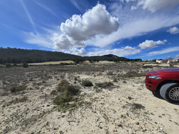 Land In Salinas, Spain (52.000 M² Plot)