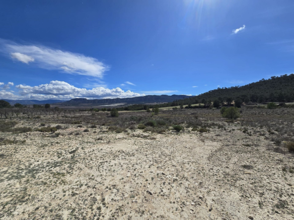 Land In Salinas, Spain (52.000 M² Plot)