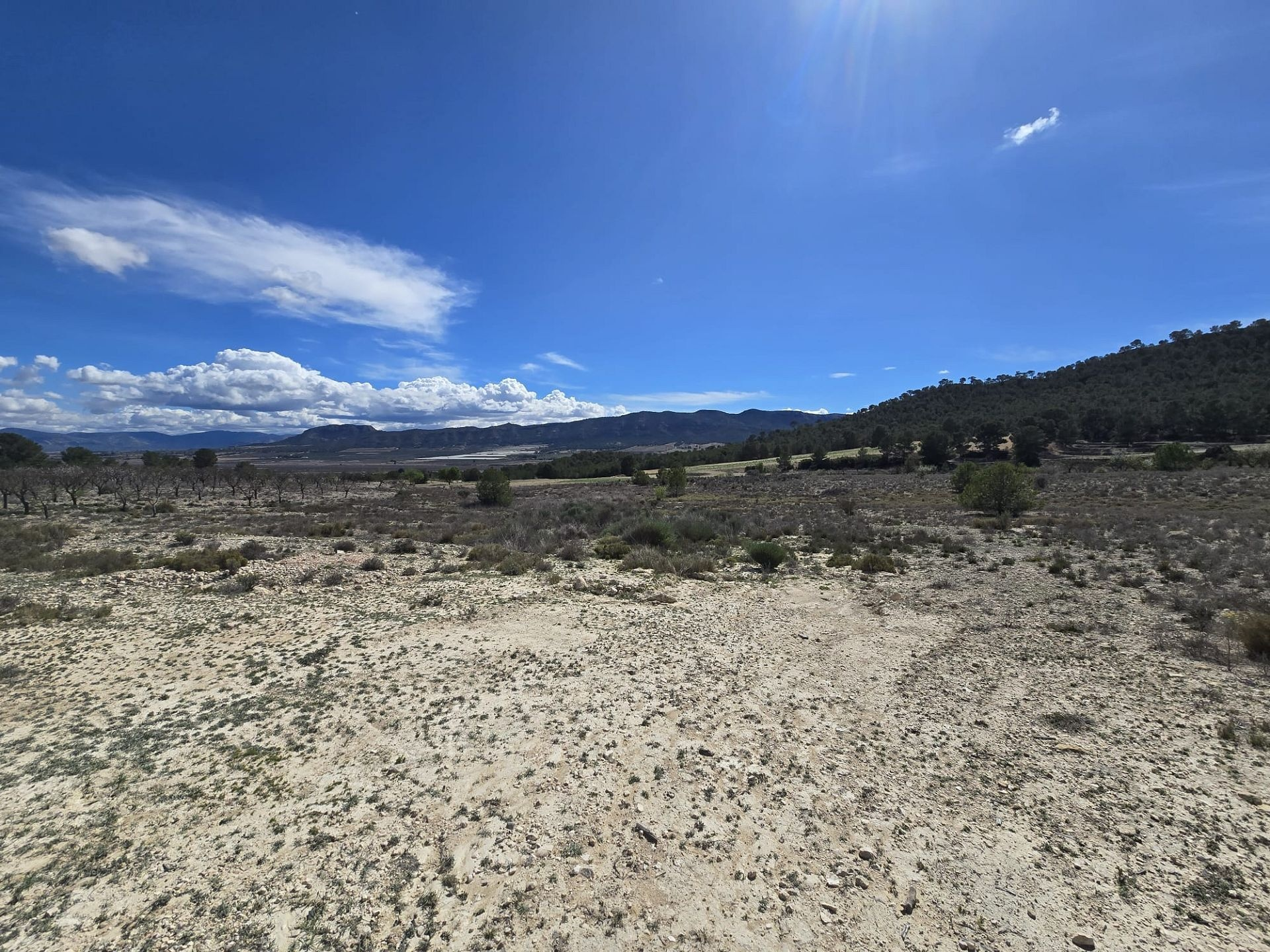 Land In Salinas, Spain (52.000 M² Plot)