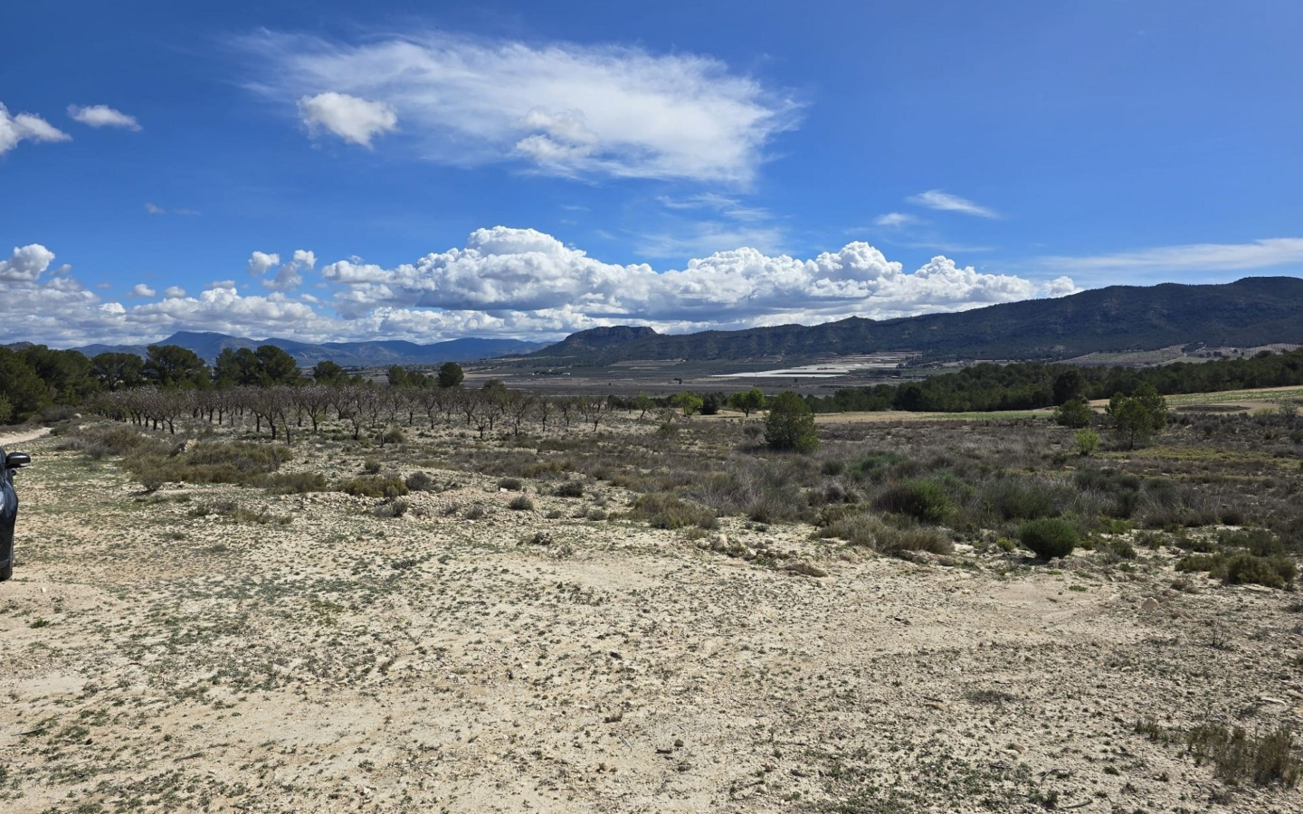 Land In Salinas, Spain (52.000 M² Plot)