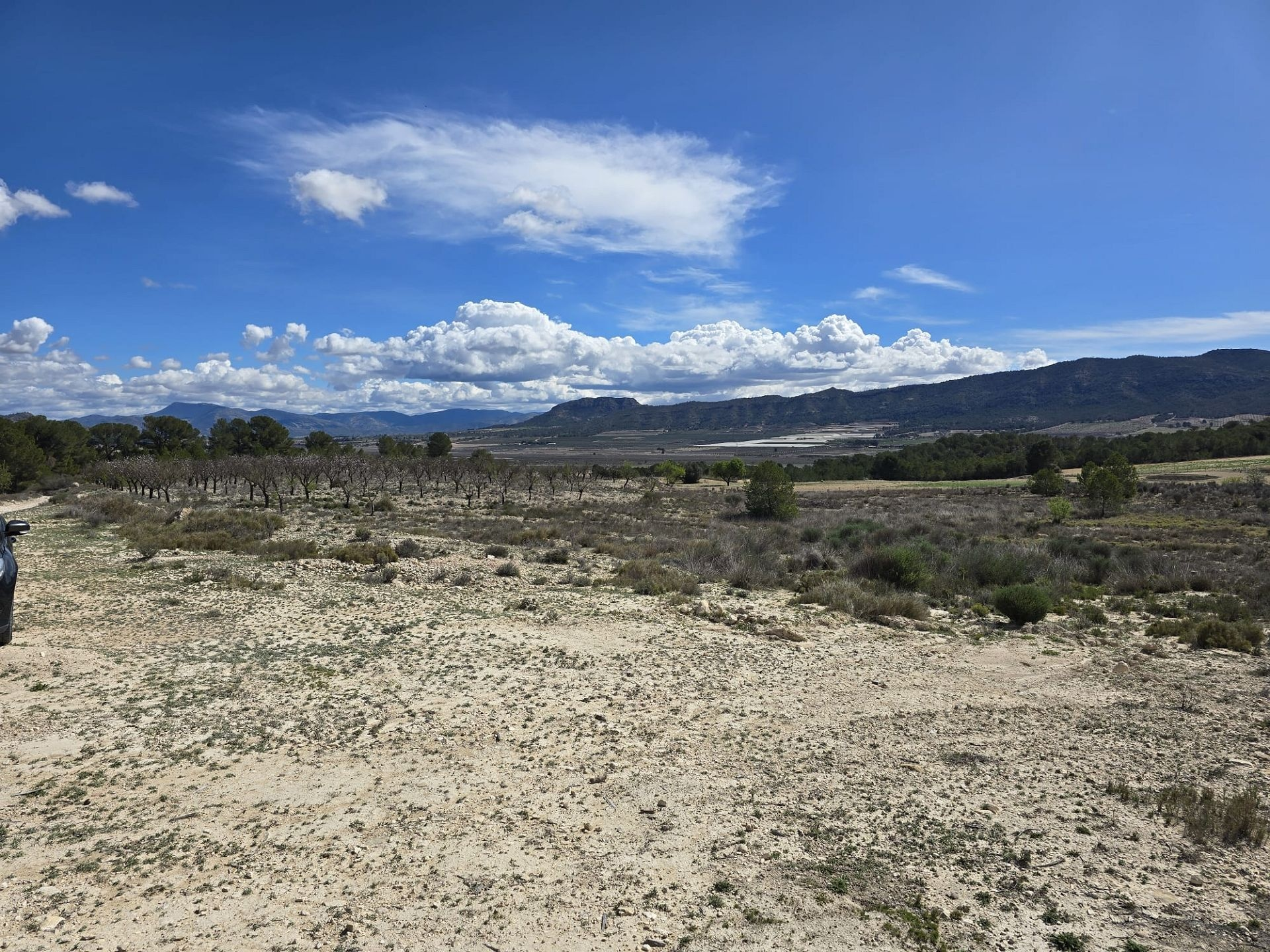 Land In Salinas, Spain (52.000 M² Plot)