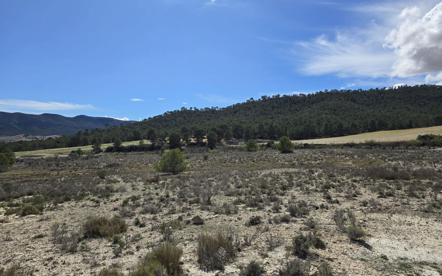 Land In Salinas, Spain (52.000 M² Plot)