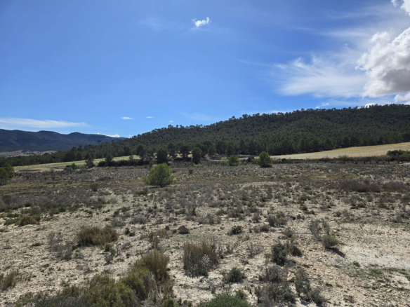 Land In Salinas, Spain (52.000 M² Plot)