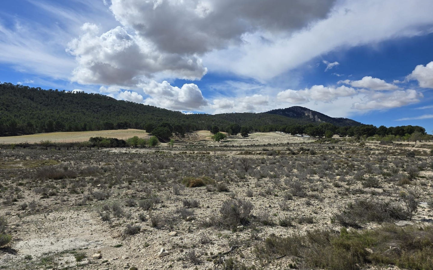 Land In Salinas, Spain (52.000 M² Plot)