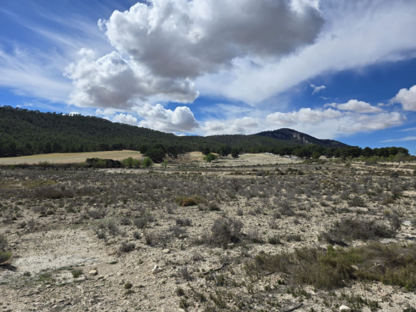 Land In Salinas, Spain (52.000 M² Plot)