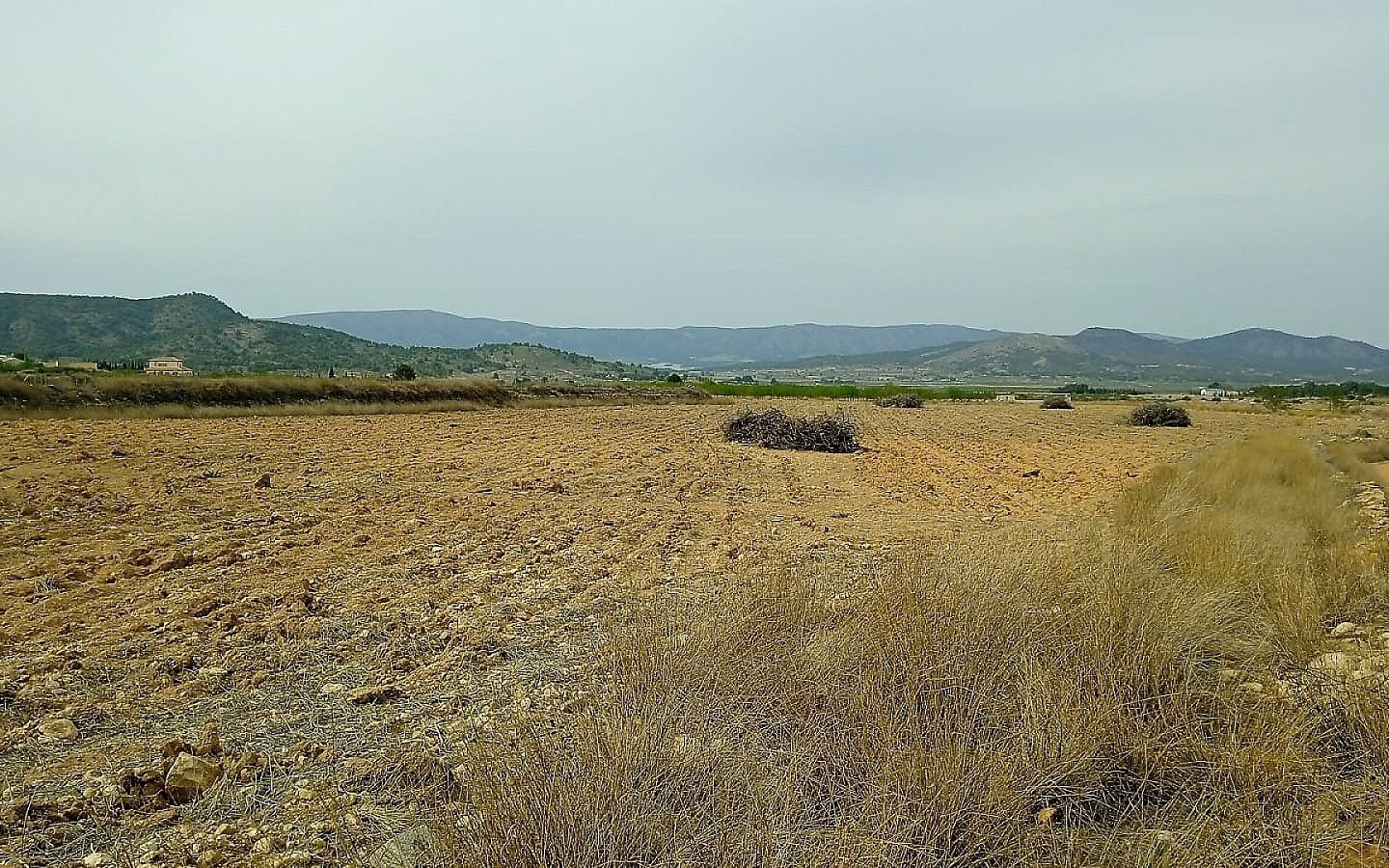 Land In Monovar, Spain (24.047 M² Plot)