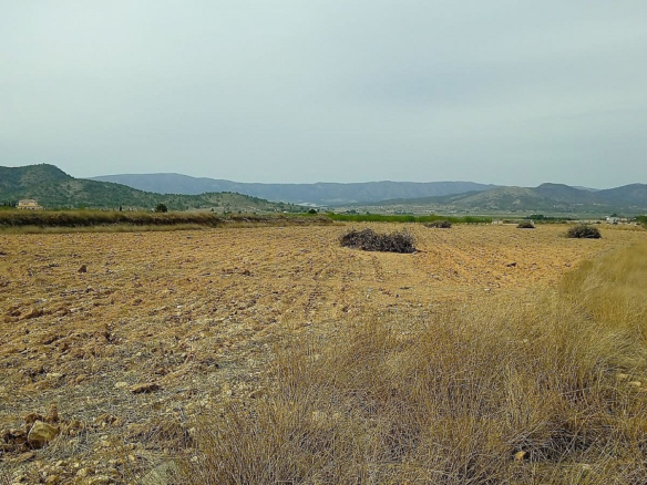 Land In Monovar, Spain (24.047 M² Plot)