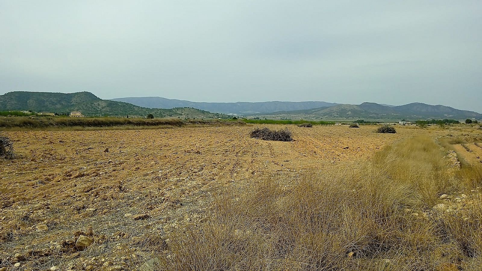Land In Monovar, Spain (24.047 M² Plot)
