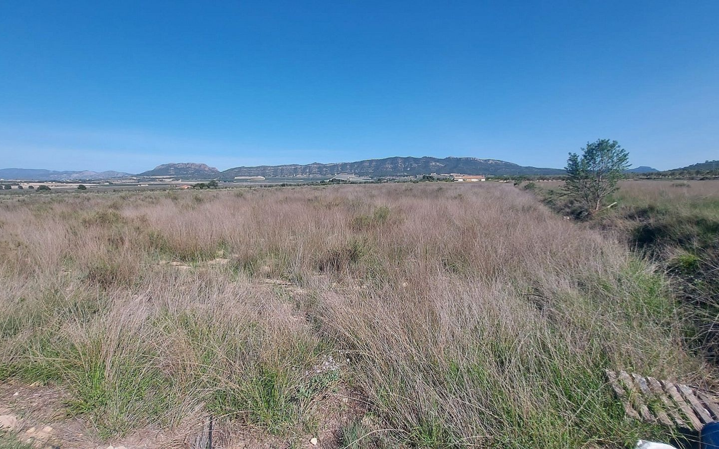 Land In Salinas, Spain (14.720 M² Plot)