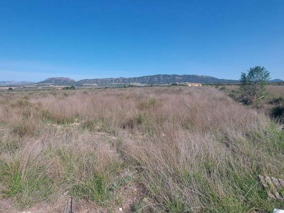 Land In Salinas, Spain (14.720 M² Plot)
