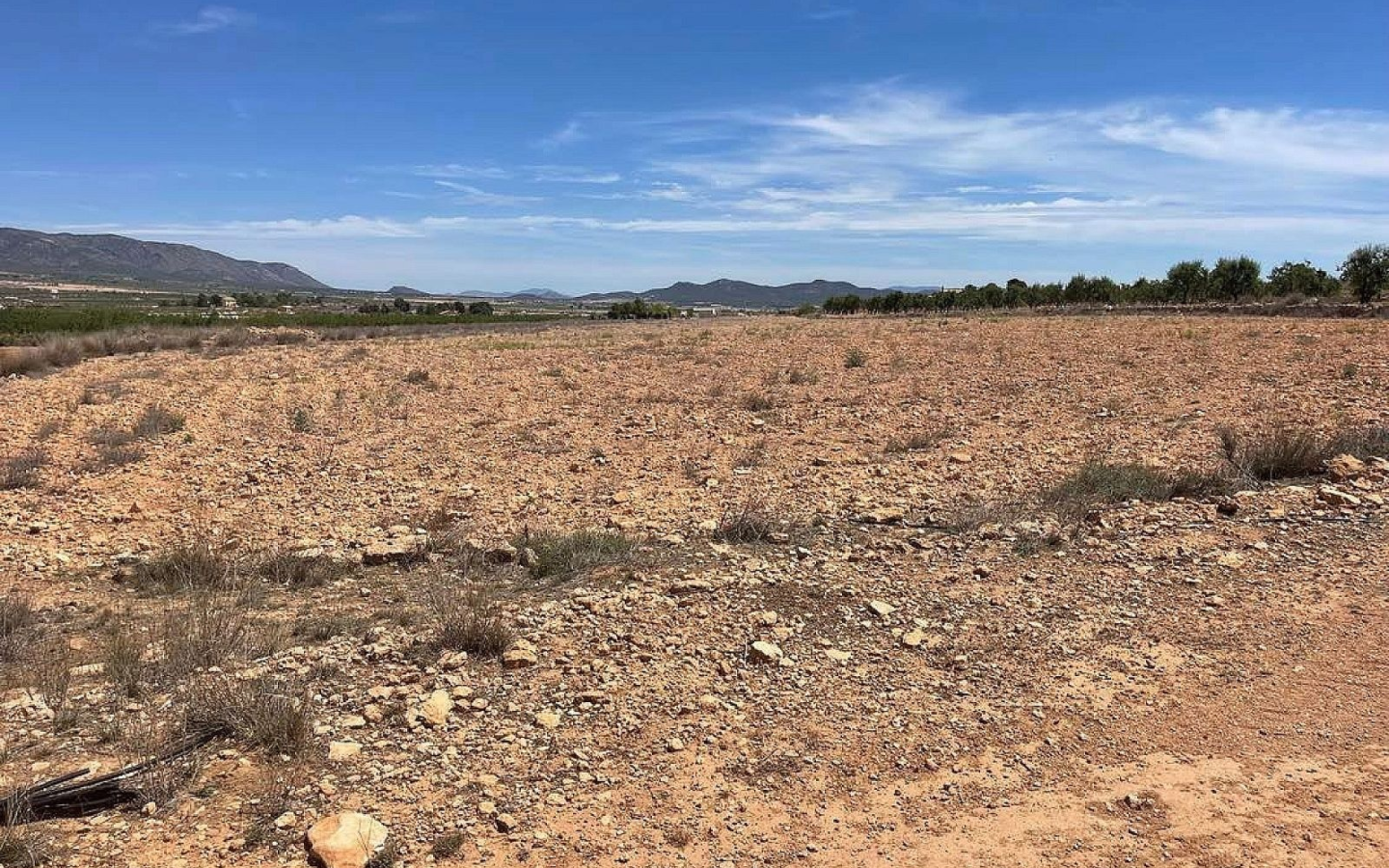 Land In Pinoso, Spain (15.000 M²)