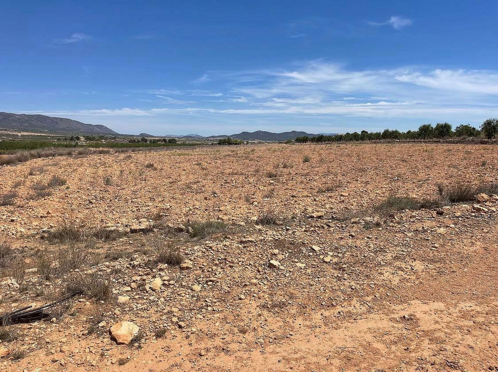 w_n0odsk8frtddp7jwjtru-b5f0cb Land In Pinoso, Spain (15.000 M²)