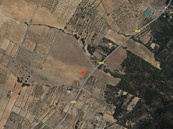 Land In Biar, Spain (25.000 M² Plot)