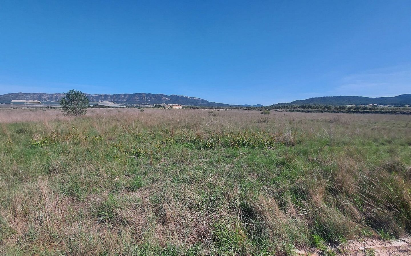 Land In Salinas, Spain (14.720 M² Plot)