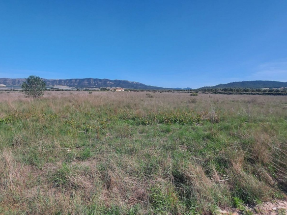 Land In Salinas, Spain (14.720 M² Plot)