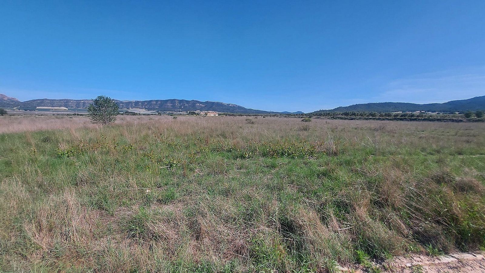 w_qa2uzrekxzvq2mk6fpk7-e61010 Land In Salinas, Spain (14.720 M² Plot)