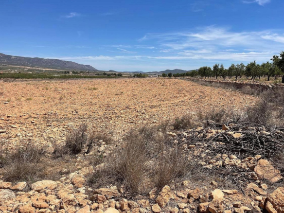 Land In Pinoso, Spain (15.000 M²)