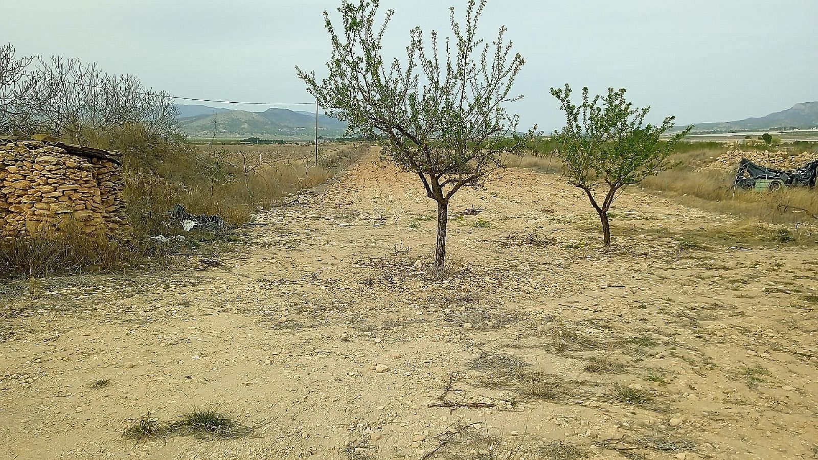w_ryytmh8v8fmzqr3autci-0bc1ad Land In Monovar, Spain (15.128 M² Plot)