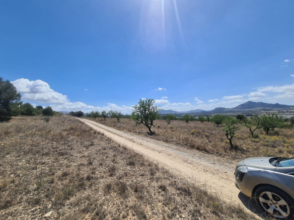 Land In Sax, Spain (16.200 M² Plot)