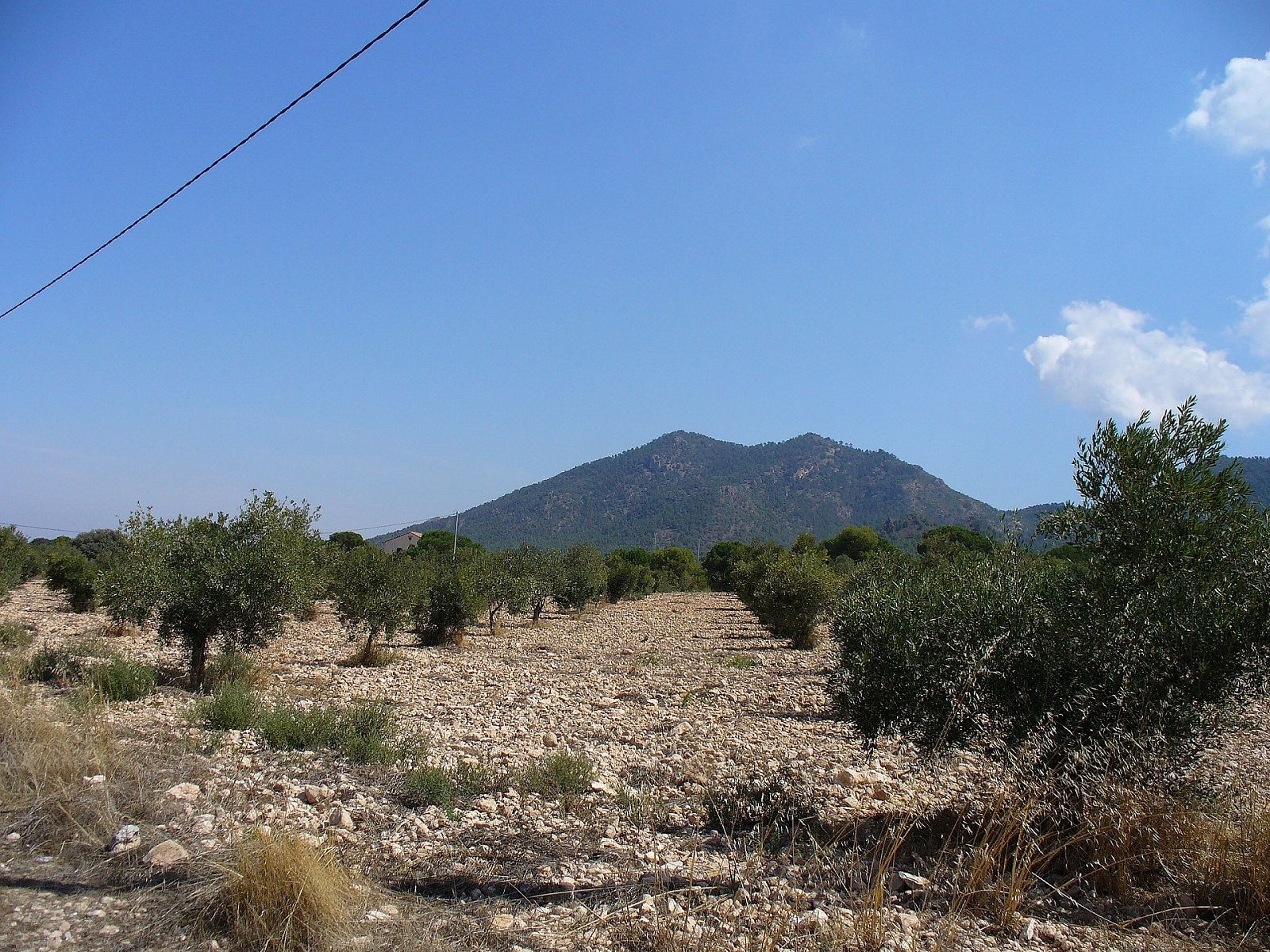 w_tr34nde0szxddrq6hyci-9dae6a Land In Biar, Spain (25.000 M² Plot)