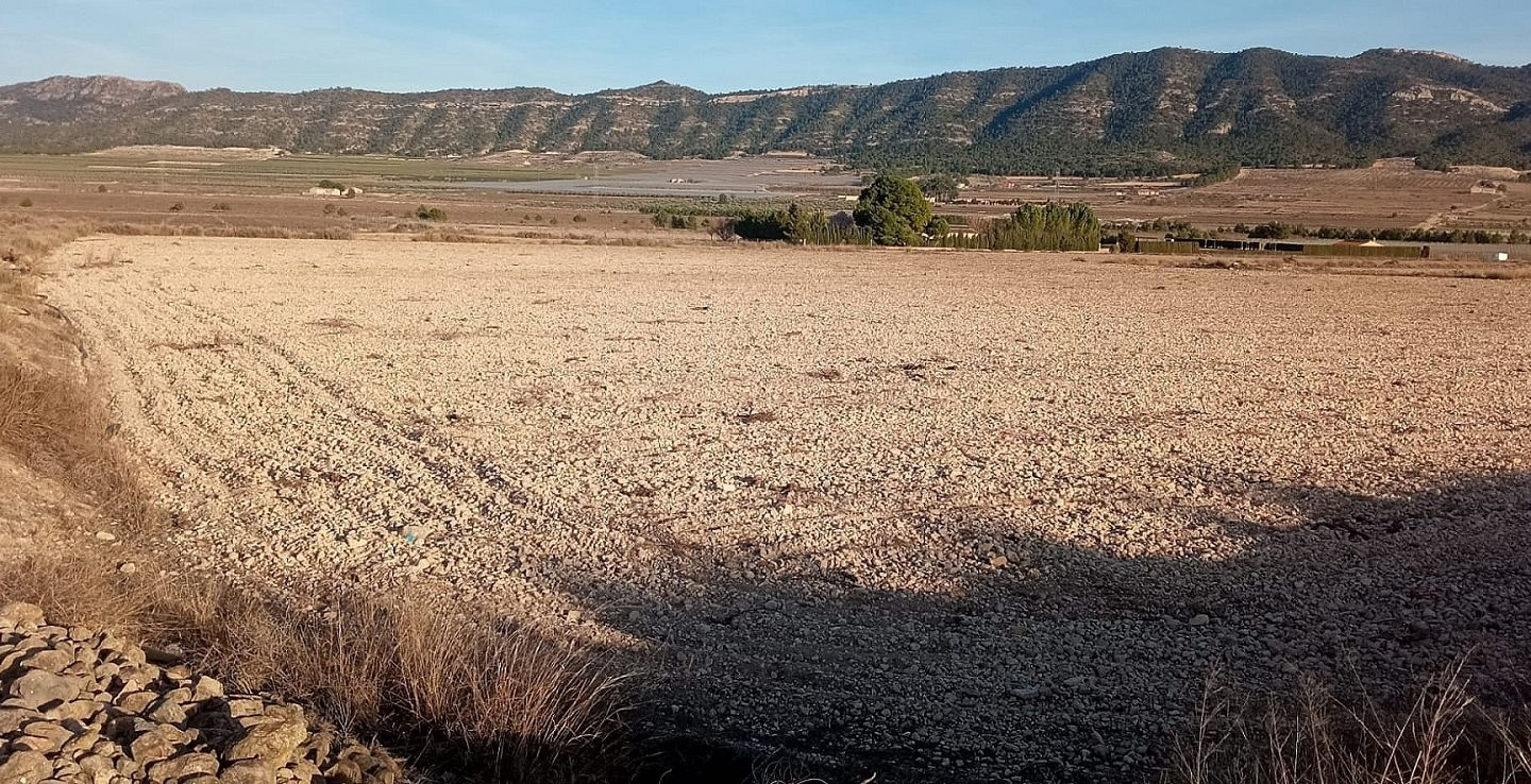 Land In Salinas, Spain (49.658 M² Plot)