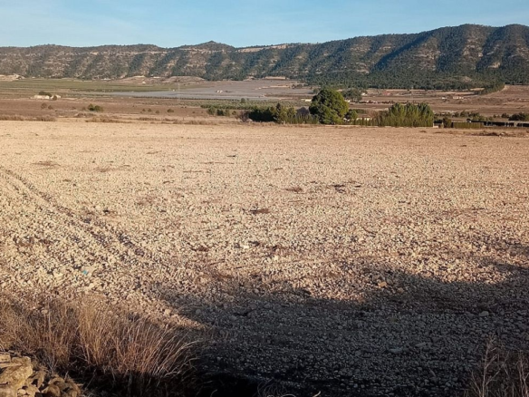 Land In Salinas, Spain (49.658 M² Plot)