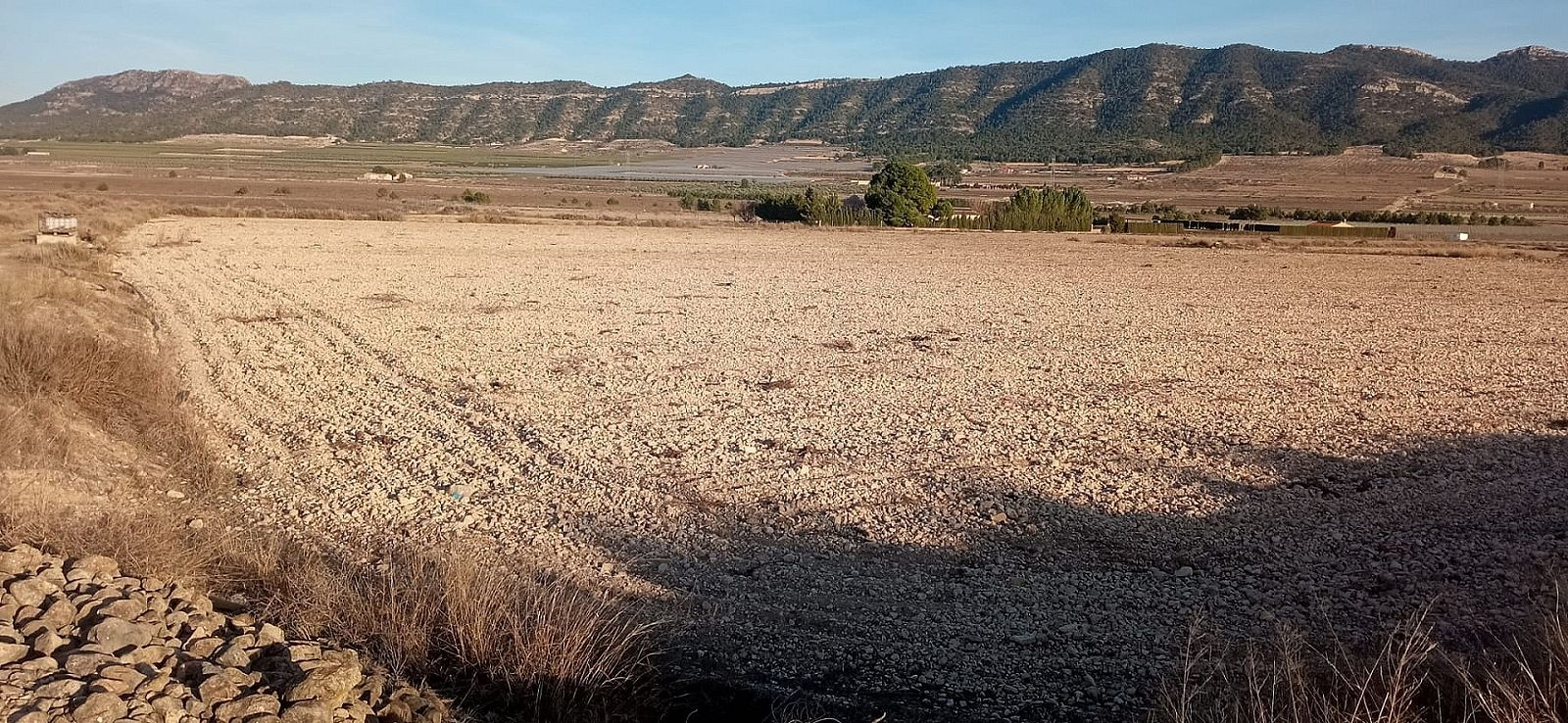 w_vejve4dnrdsn0y85sqe5-fe655c Land In Salinas, Spain (49.658 M² Plot)