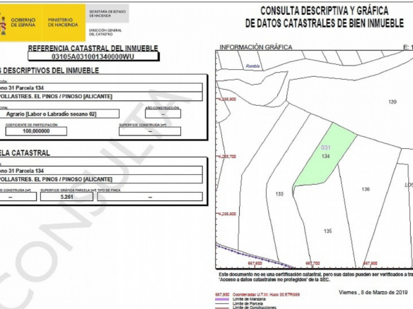 Land In Pinoso, Spain (6.250 M² Plot)