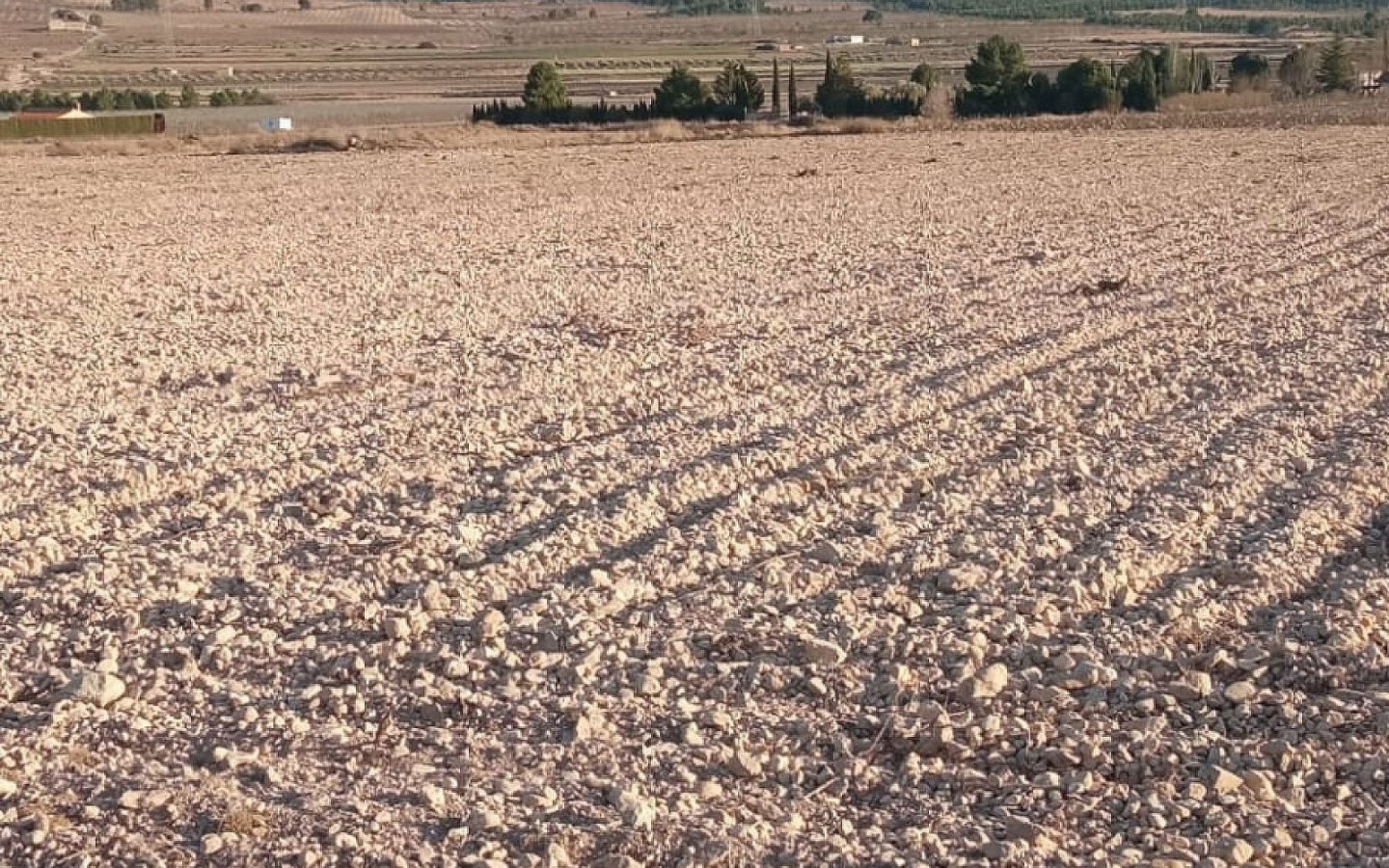 Land In Salinas, Spain (49.658 M² Plot)