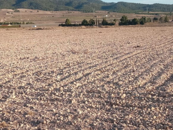 Land In Salinas, Spain (49.658 M² Plot)