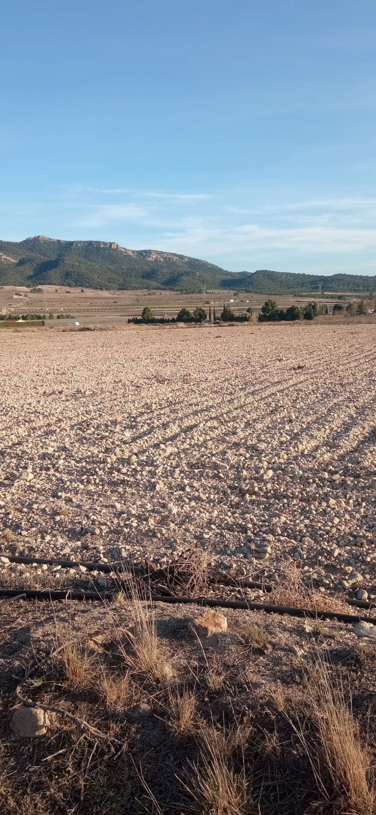 w_wkpvnnqvngi0wbbqfitq-4e3f3a Land In Salinas, Spain (49.658 M² Plot)
