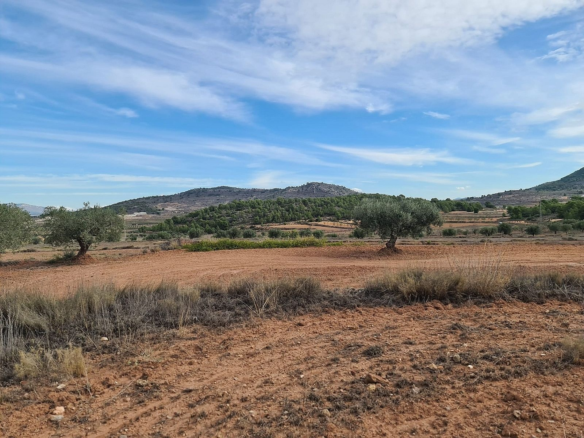 Land In Pinoso, Spain (20.343 M² Plot)