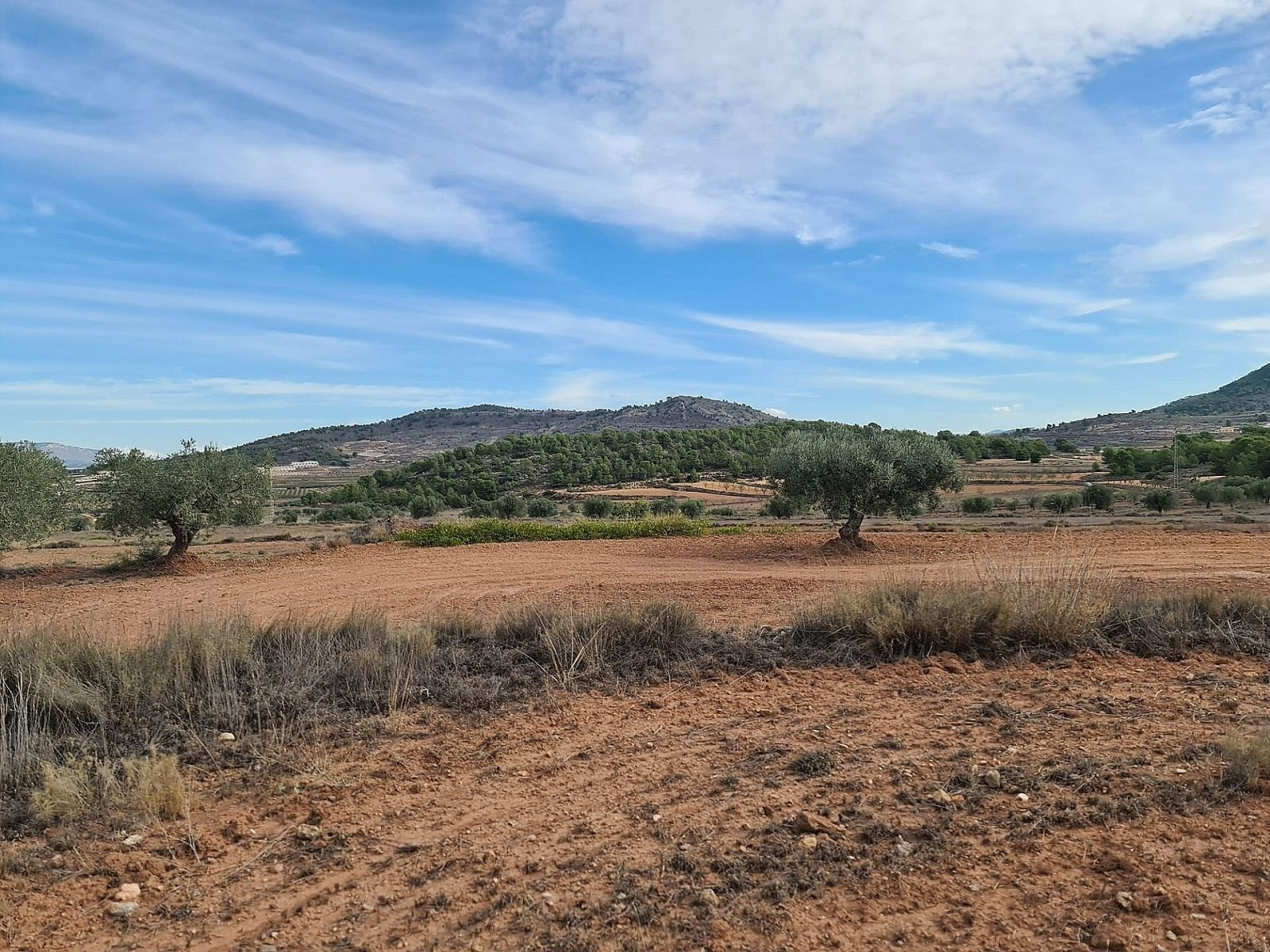 w_x2giksjwrhu3rj7vmzuu-051a28 Land In Pinoso, Spain (20.343 M² Plot)