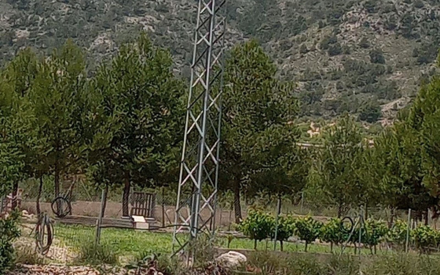 Land In Salinas, Spain (10.663 M² Plot)