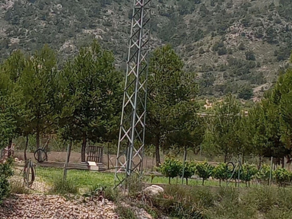 Land In Salinas, Spain (10.663 M² Plot)
