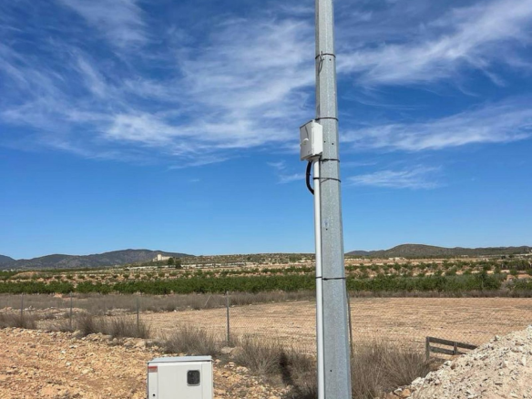 Land In Pinoso, Spain (15.000 M²)
