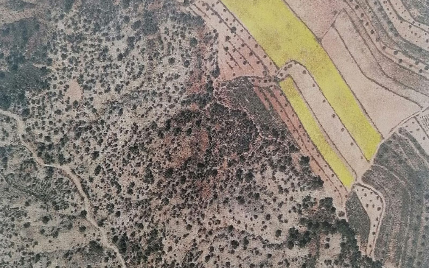 Land In Pinoso, Spain (20.343 M² Plot)