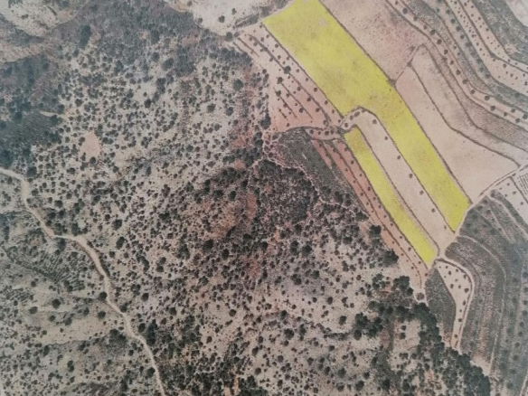 Land In Pinoso, Spain (20.343 M² Plot)
