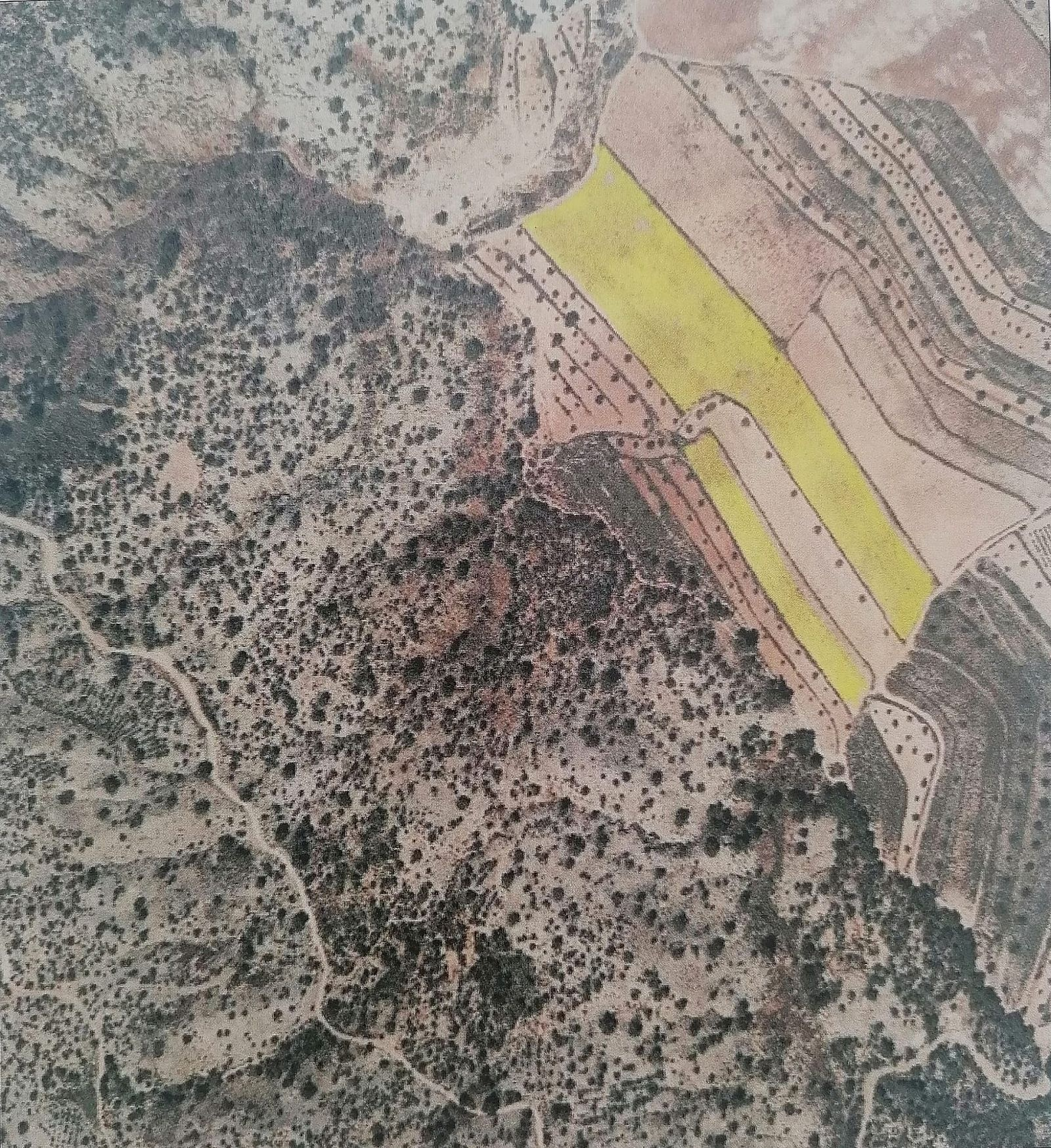 w_y376a5ns6k60yiatg0or-669968 Land In Pinoso, Spain (20.343 M² Plot)
