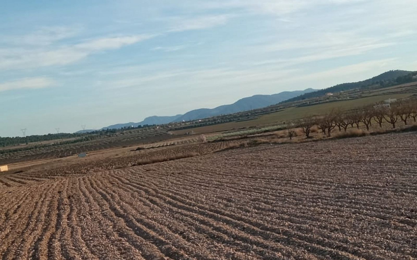 Land In Salinas, Spain (49.658 M² Plot)